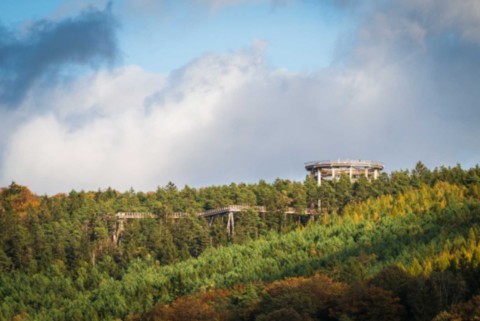 Chemin Des Cimes