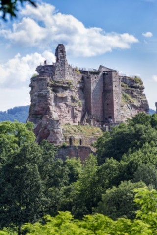 Chateau De Fleckenstein
