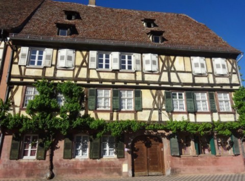 Maison Schaaf - Wissembourg